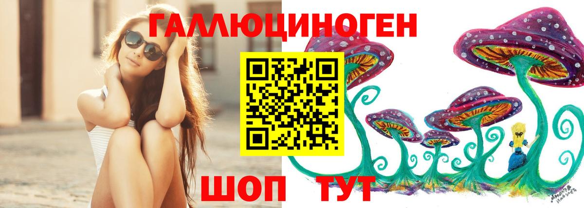 Кингисепп  Галлюциногенные грибы мицелий  Вход с VPN 