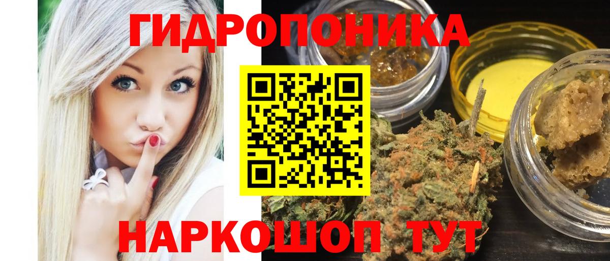 Кингисепп  Шишки марихуана семена  Вход с VPN  Конопля индика  Бошки марихуана планчик 